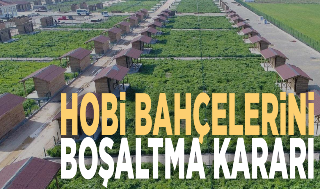 Hobi bahçelerini boşaltma kararı