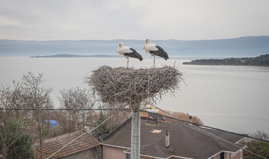 Adem Amca ve Yaren Leylek’in Sımsıcak Dostluğu