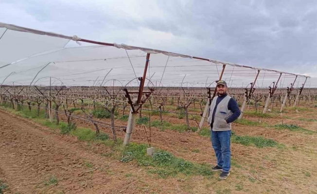 Sarıgöl’de Üzümler İçin Dolu Tedbiri Alındı!